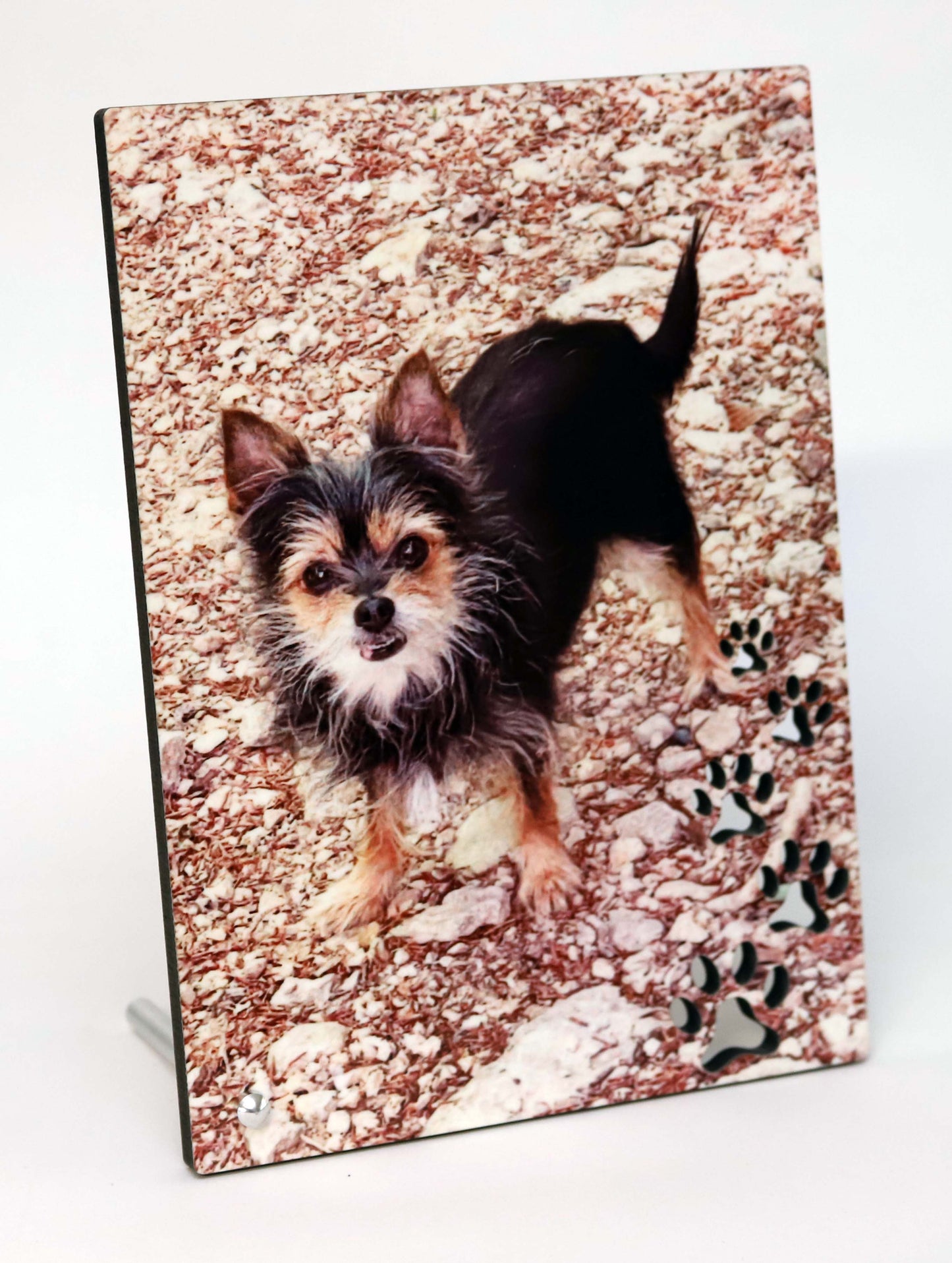 Fotoständer mit Tiermotiv