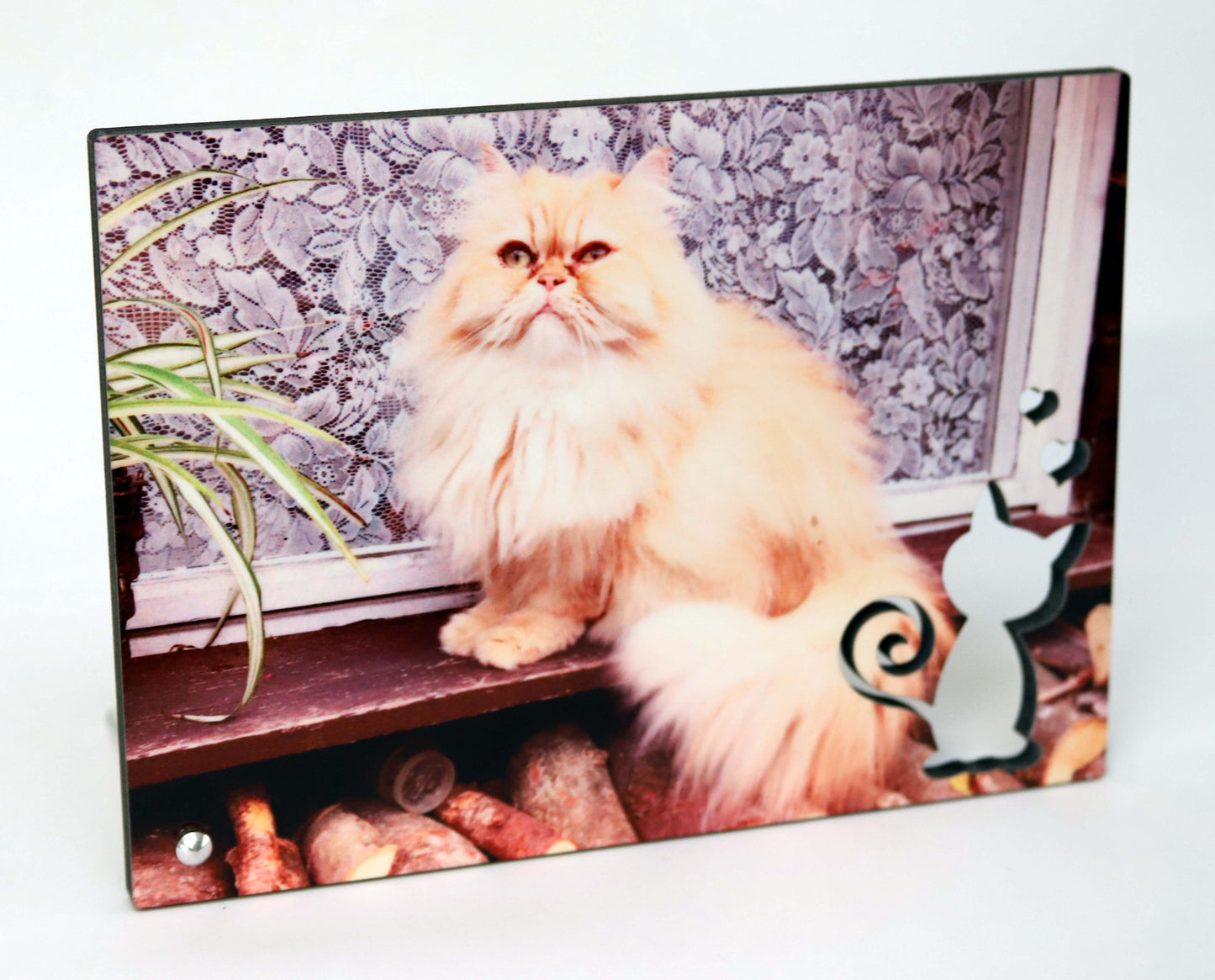 Fotoständer mit Tiermotiv